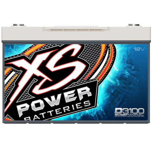 XS D3100